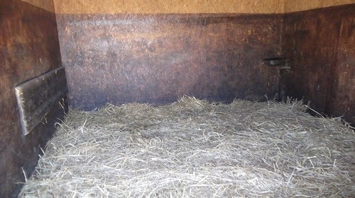 Box paillé pour cheval