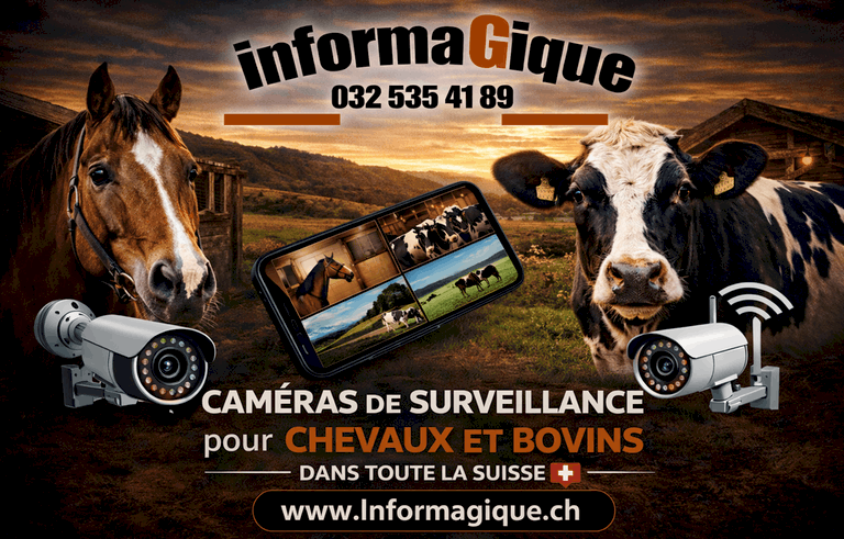 Caméras de surveillance pour chevaux et bovins, dans toute la Suisse
